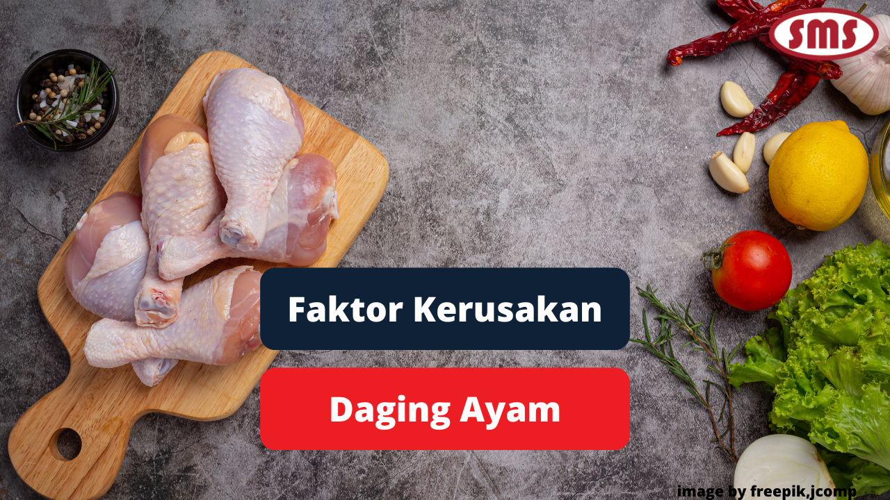 Kenali Faktor Penyebab Kerusakan Pada Daging Ayam